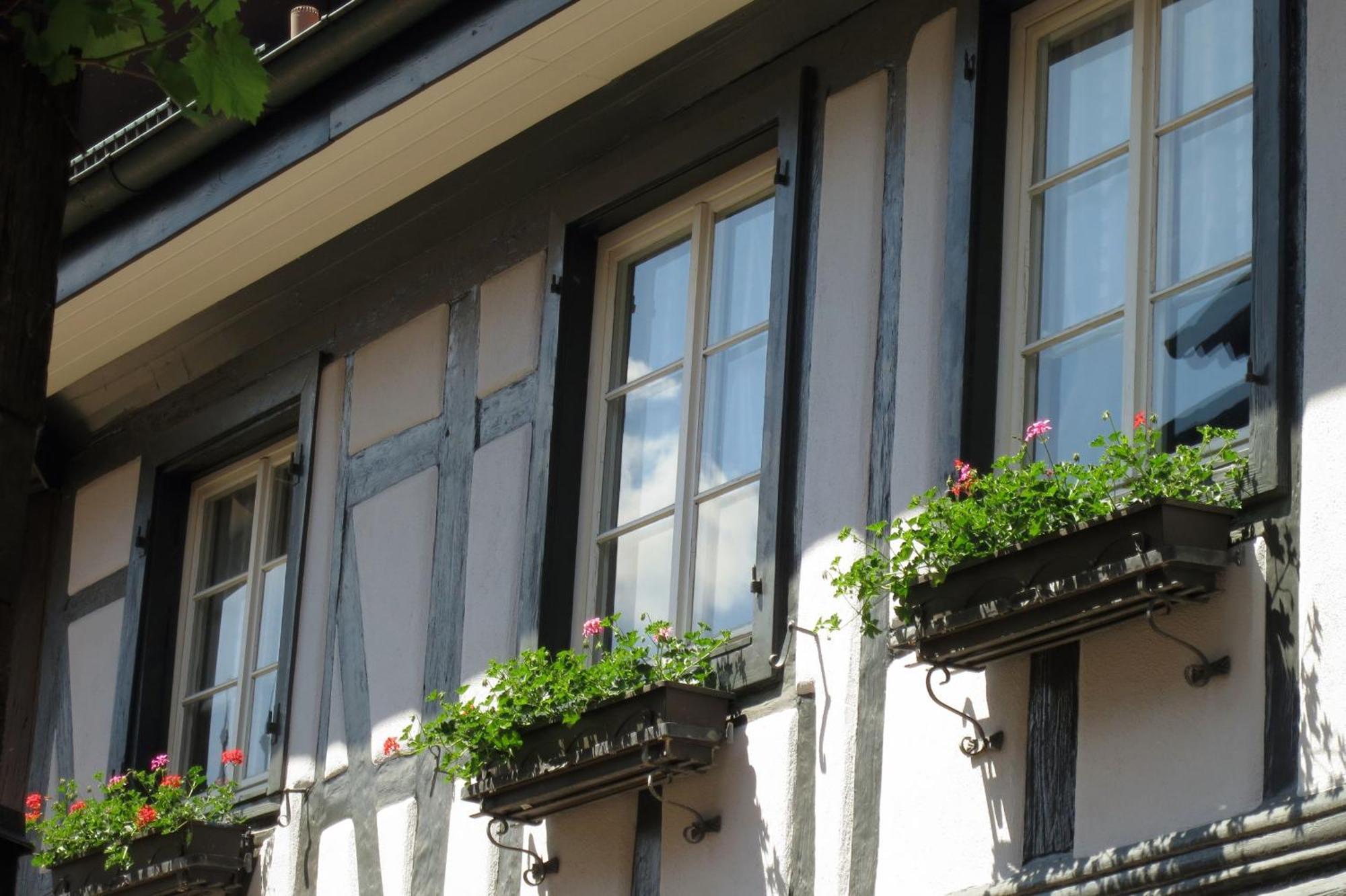 Ferienwohnung Sester Gengenbach Exterior foto
